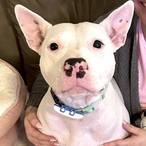 Meet your Posher, BrayLeigh